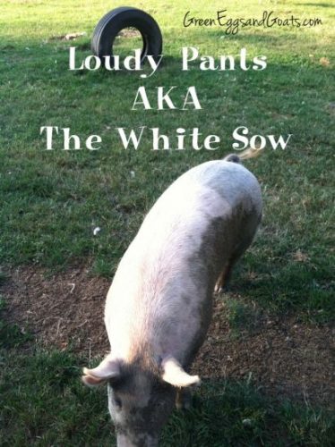 Pigs and Figs